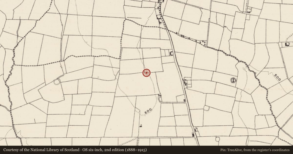 Ordnance Survey six-inch map, 2nd edition (1888–1915) covering the location of Earthwork, Kilgarriff, County Limerick, with a pin at the register's coordinates
