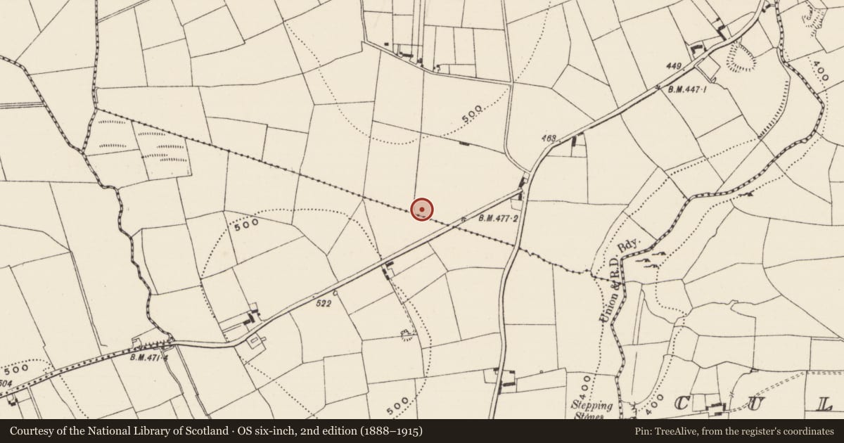 Ordnance Survey six-inch map, 2nd edition (1888–1915) covering the location of Enclosure, Ballyfeerode, County Limerick, with a pin at the register's coordinates