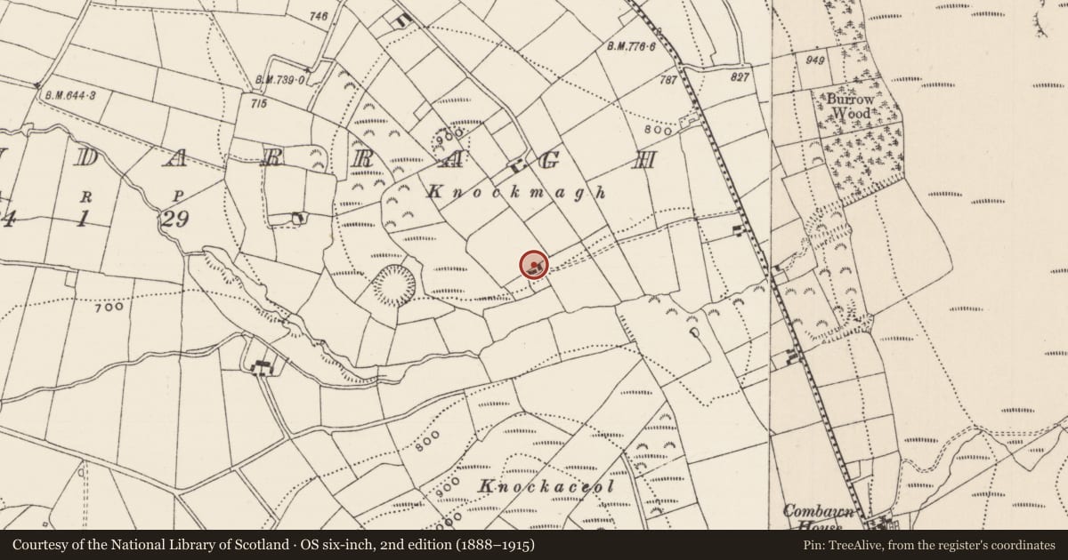Ordnance Survey six-inch map, 2nd edition (1888–1915) covering the location of Structure, Lackendarragh, County Limerick, with a pin at the register's coordinates