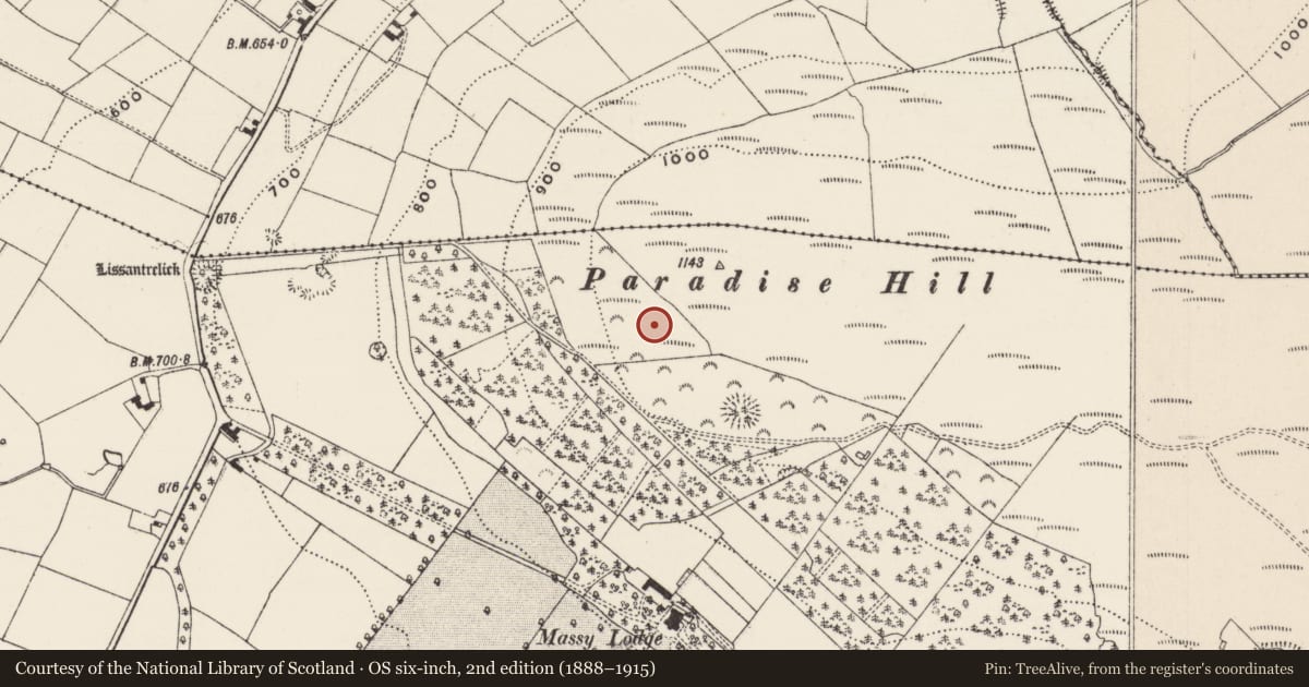 Ordnance Survey six-inch map, 2nd edition (1888–1915) covering the location of Enclosure, Anglesborough, County Limerick, with a pin at the register's coordinates