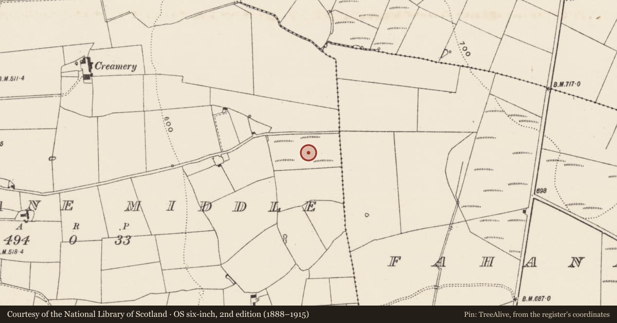 Ordnance Survey six-inch map, 2nd edition (1888–1915) covering the location of Ringfort - rath, Cullane Middle, County Limerick, with a pin at the register's coordinates
