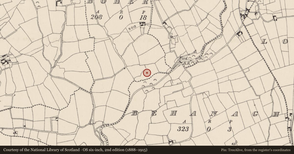 Ordnance Survey six-inch map, 2nd edition (1888–1915) covering the location of Barrow - mound barrow, Boher, County Limerick, with a pin at the register's coordinates