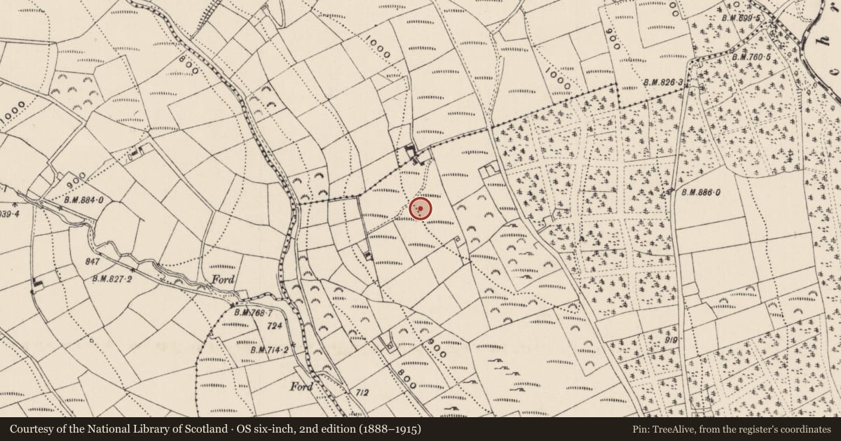 Ordnance Survey six-inch map, 2nd edition (1888–1915) covering the location of Kiln - lime, Carrigeen, County Limerick, with a pin at the register's coordinates