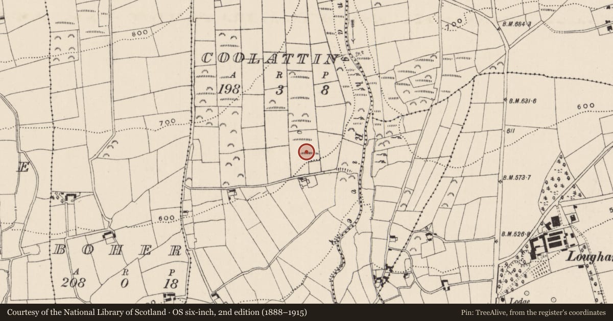 Ordnance Survey six-inch map, 2nd edition (1888–1915) covering the location of Kiln - lime, Coolattin, County Limerick, with a pin at the register's coordinates