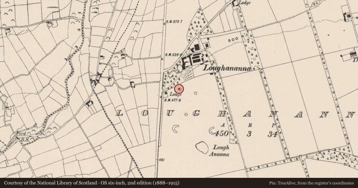 Ordnance Survey six-inch map, 2nd edition (1888–1915) covering the location of Designed landscape - tree-ring, Loughananna, County Limerick, with a pin at the register's coordinates