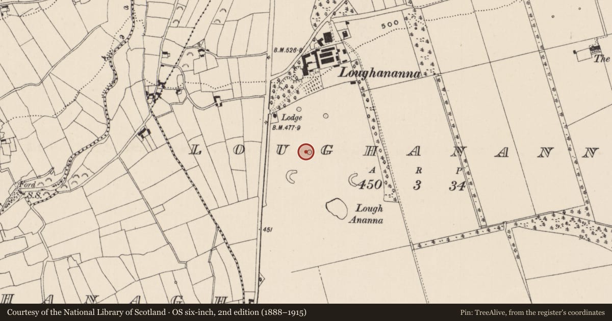 Ordnance Survey six-inch map, 2nd edition (1888–1915) covering the location of Designed landscape - tree-ring, Loughananna, County Limerick, with a pin at the register's coordinates