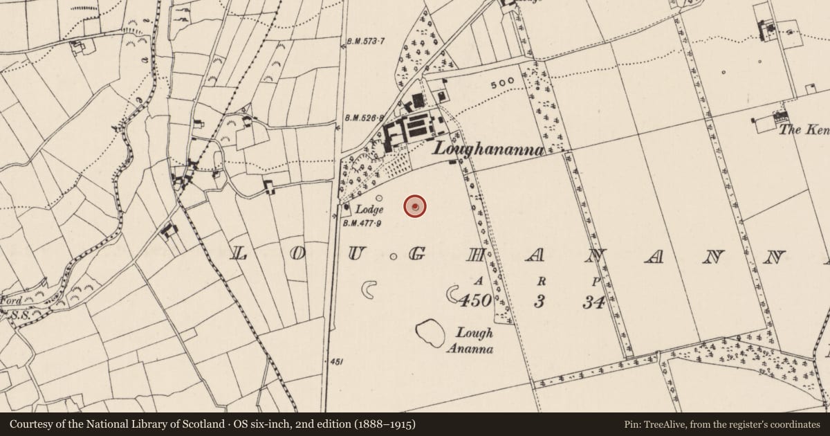 Ordnance Survey six-inch map, 2nd edition (1888–1915) covering the location of Designed landscape - tree-ring, Loughananna, County Limerick, with a pin at the register's coordinates