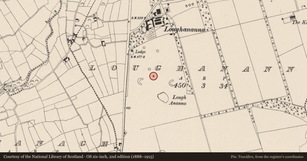 Ordnance Survey six-inch map, 2nd edition (1888–1915) covering the location of Designed landscape - tree-ring, Loughananna, County Limerick, with a pin at the register's coordinates