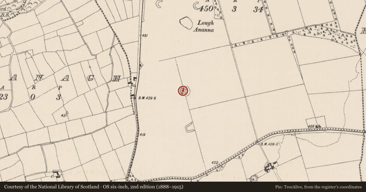Ordnance Survey six-inch map, 2nd edition (1888–1915) covering the location of Designed landscape - tree-ring, Loughananna, County Limerick, with a pin at the register's coordinates
