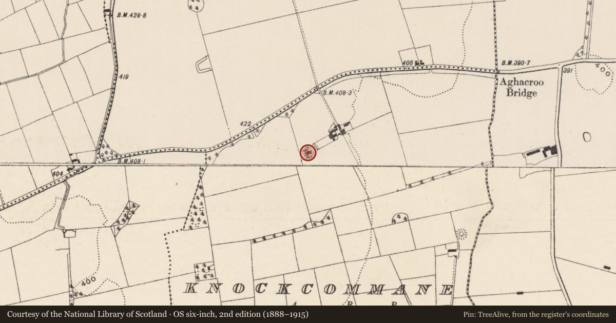 Ordnance Survey six-inch map, 2nd edition (1888–1915) covering the location of Ringfort - rath, Knockcommane, County Limerick, with a pin at the register's coordinates