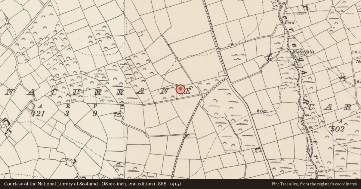 Ordnance Survey six-inch map, 2nd edition (1888–1915) covering the location of House - vernacular house, Glenacurrane, County Limerick, with a pin at the register's coordinates
