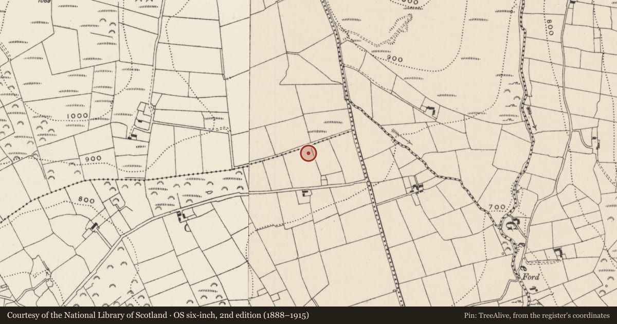 Ordnance Survey six-inch map, 2nd edition (1888–1915) covering the location of Earthwork, Glenacurrane, County Limerick, with a pin at the register's coordinates