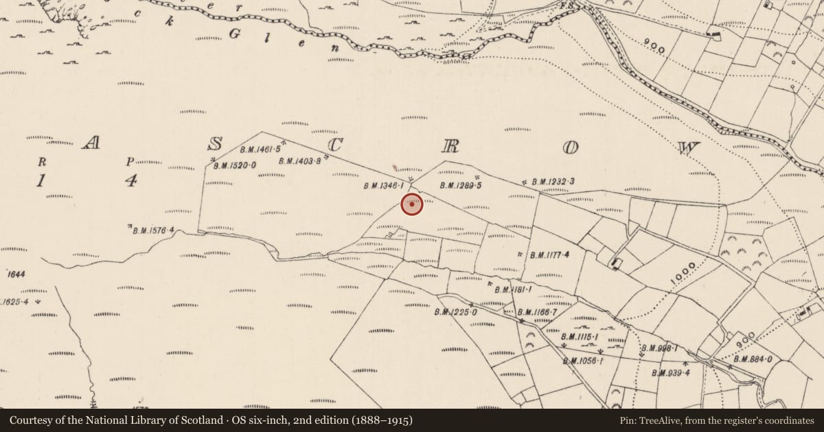 Ordnance Survey six-inch map, 2nd edition (1888–1915) covering the location of Kiln - lime, Knocknascrow, County Limerick, with a pin at the register's coordinates