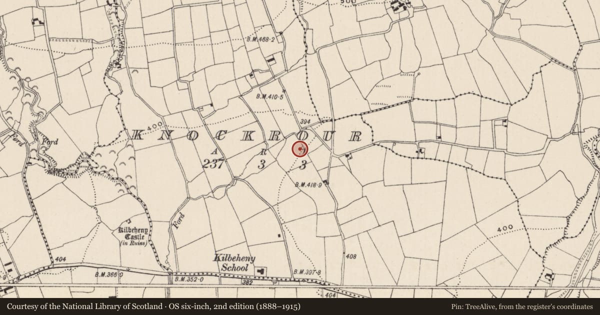 Ordnance Survey six-inch map, 2nd edition (1888–1915) covering the location of Kiln - lime, Knockrour, County Limerick, with a pin at the register's coordinates