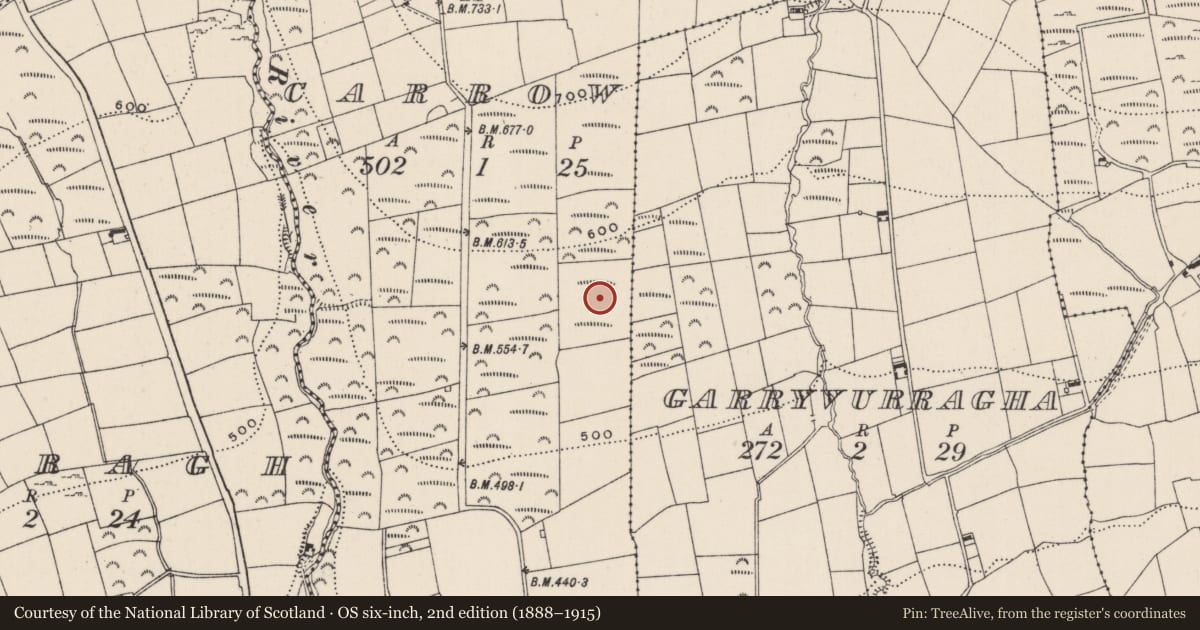 Ordnance Survey six-inch map, 2nd edition (1888–1915) covering the location of Ring-ditch, Carrow, County Limerick, with a pin at the register's coordinates