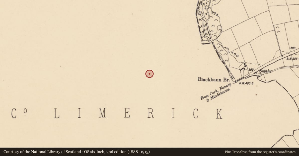 Ordnance Survey six-inch map, 2nd edition (1888–1915) covering the location of Cremation pit, Brackbaun, County Limerick, with a pin at the register's coordinates
