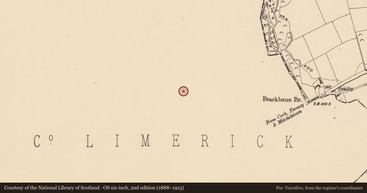 Ordnance Survey six-inch map, 2nd edition (1888–1915) covering the location of Fulacht fia, Brackbaun, County Limerick, with a pin at the register's coordinates