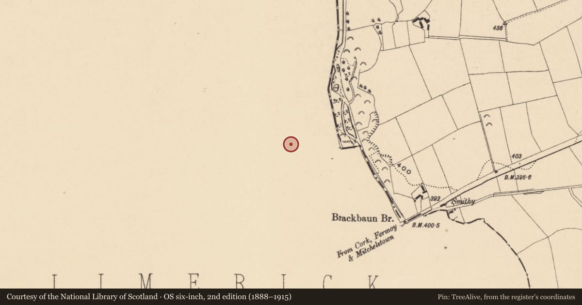 Ordnance Survey six-inch map, 2nd edition (1888–1915) covering the location of Excavation - miscellaneous, Brackbaun, County Limerick, with a pin at the register's coordinates