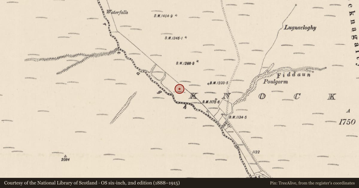 Ordnance Survey six-inch map, 2nd edition (1888–1915) covering the location of Hut site, Knocknagalty, County Limerick, with a pin at the register's coordinates