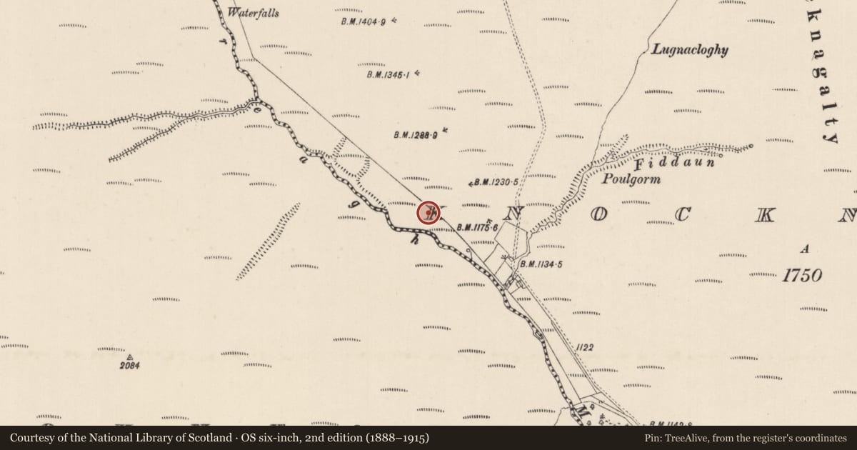 Ordnance Survey six-inch map, 2nd edition (1888–1915) covering the location of Hut site, Knocknagalty, County Limerick, with a pin at the register's coordinates