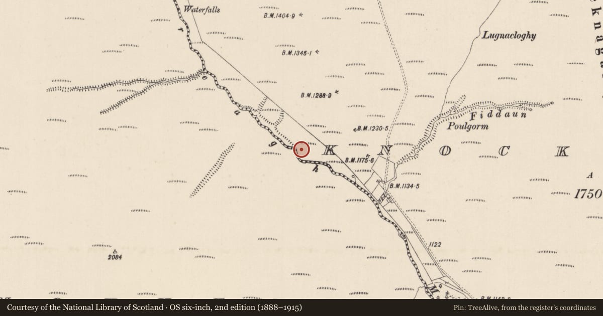 Ordnance Survey six-inch map, 2nd edition (1888–1915) covering the location of Hut site, Knocknagalty, County Limerick, with a pin at the register's coordinates