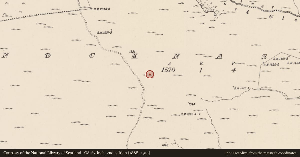 Ordnance Survey six-inch map, 2nd edition (1888–1915) covering the location of Hut site, Knocknascrow, County Limerick, with a pin at the register's coordinates