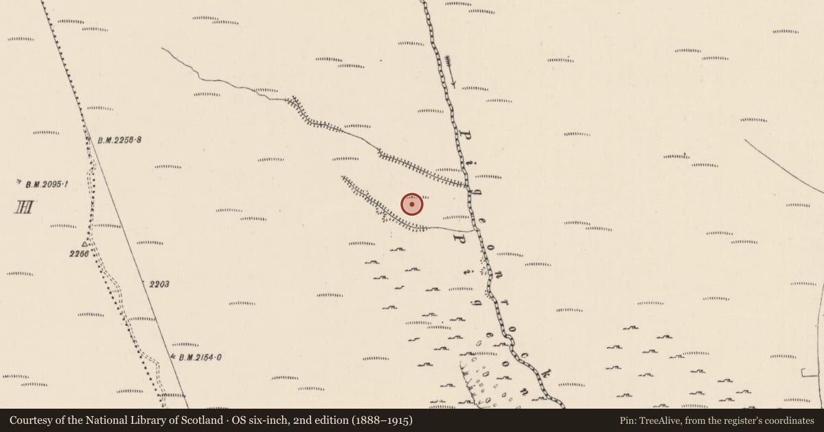 Ordnance Survey six-inch map, 2nd edition (1888–1915) covering the location of Hut site, Knocknascrow, County Limerick, with a pin at the register's coordinates