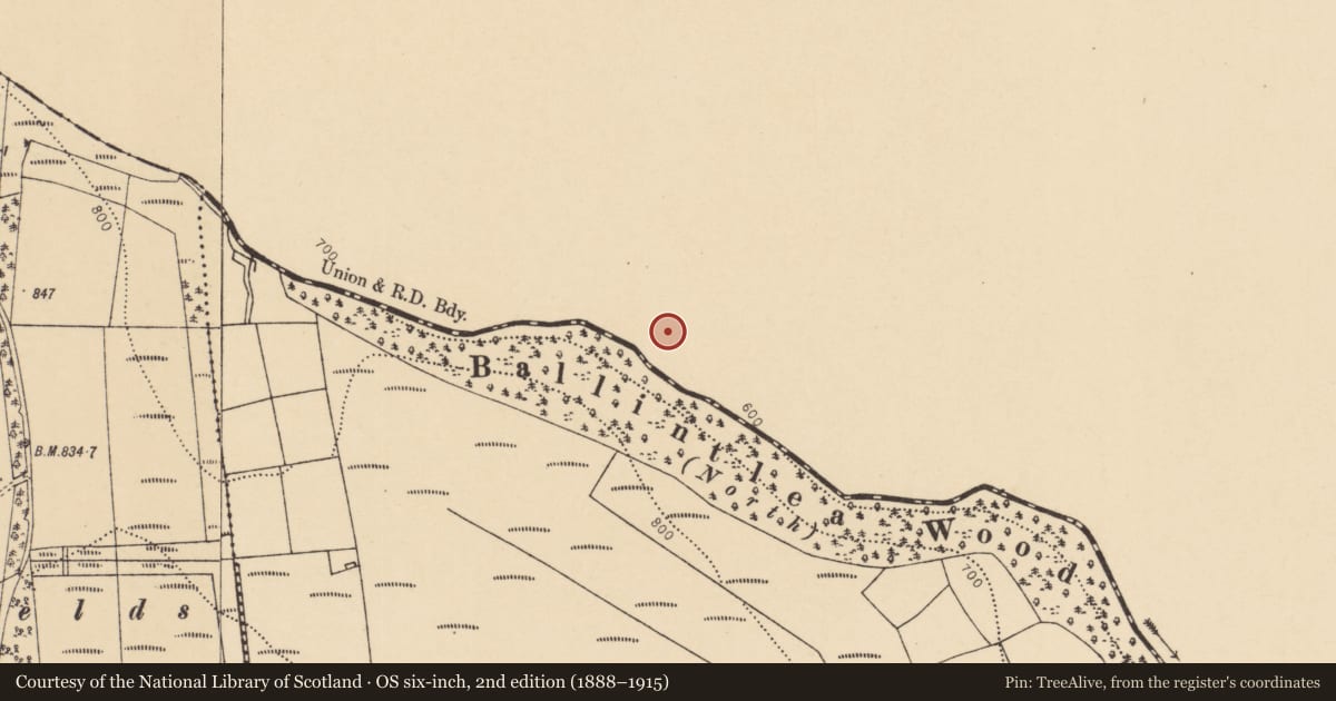 Ordnance Survey six-inch map, 2nd edition (1888–1915) covering the location of Standing stone, Glenanair West, County Limerick, with a pin at the register's coordinates