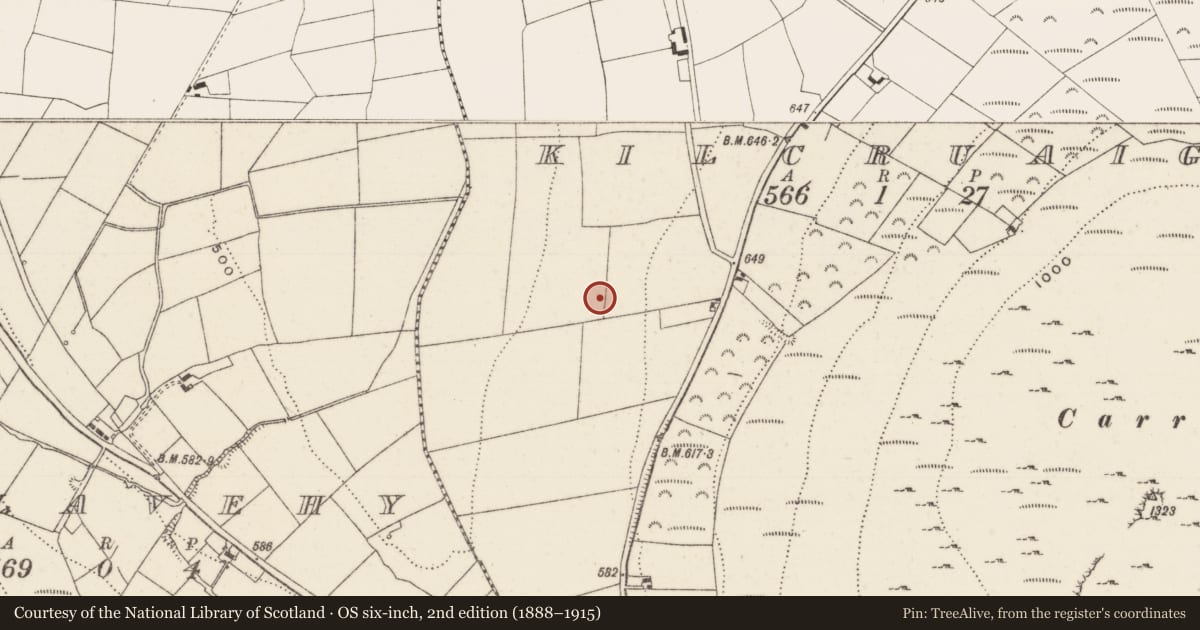 Ordnance Survey six-inch map, 2nd edition (1888–1915) covering the location of Earthwork, Kilcruaig, County Limerick, with a pin at the register's coordinates