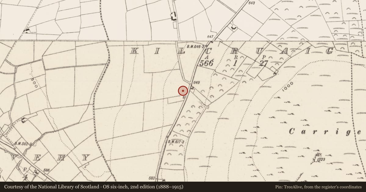 Ordnance Survey six-inch map, 2nd edition (1888–1915) covering the location of Enclosure, Kilcruaig, County Limerick, with a pin at the register's coordinates