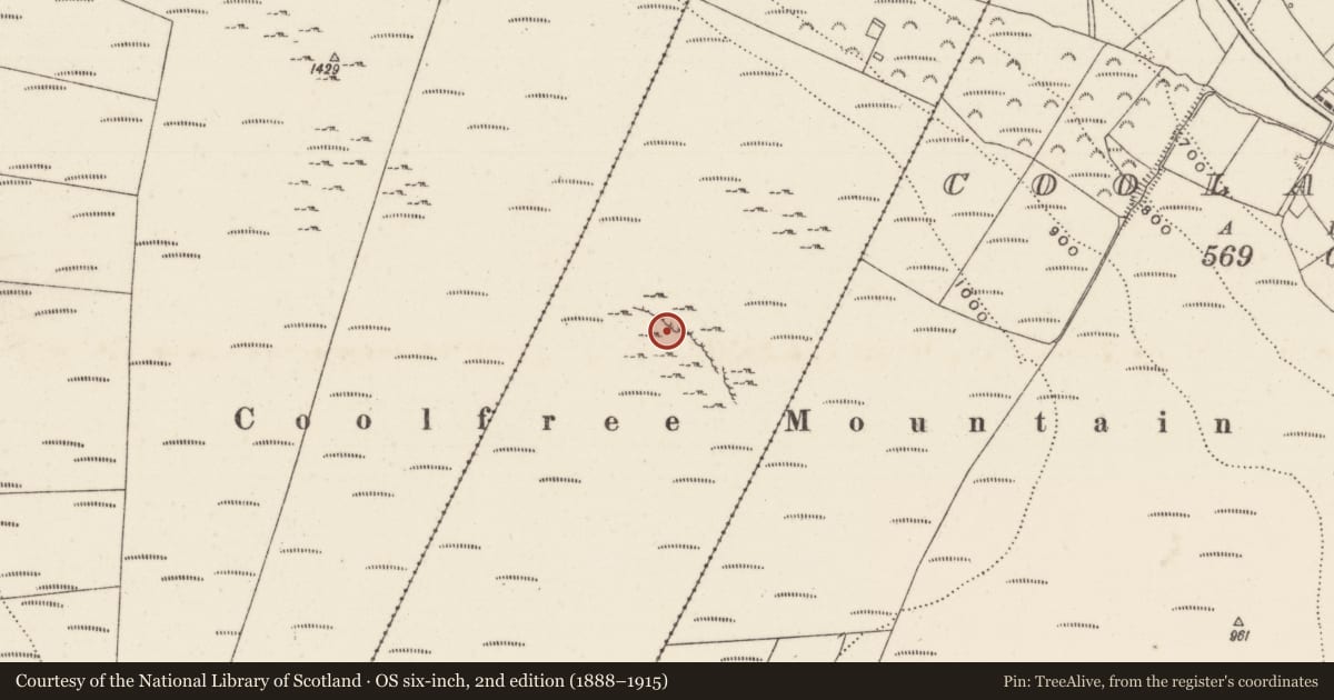 Ordnance Survey six-inch map, 2nd edition (1888–1915) covering the location of Millstone quarry, Houndscourt, County Limerick, with a pin at the register's coordinates