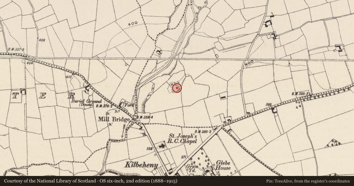 Ordnance Survey six-inch map, 2nd edition (1888–1915) covering the location of Ringfort - rath, Behanagh, County Limerick, with a pin at the register's coordinates