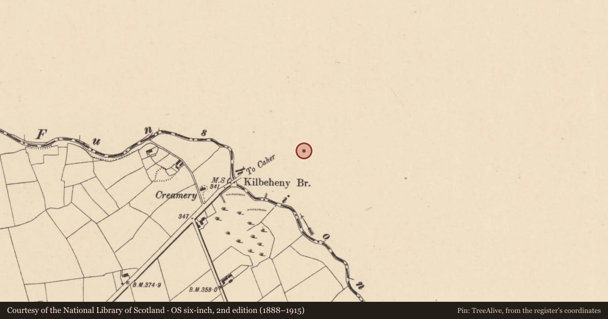 Ordnance Survey six-inch map, 2nd edition (1888–1915) covering the location of Church, Churchquarter, County Limerick, with a pin at the register's coordinates