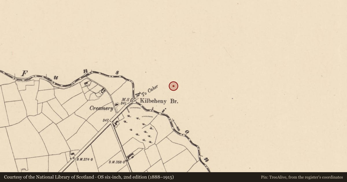Ordnance Survey six-inch map, 2nd edition (1888–1915) covering the location of Graveyard, Churchquarter, County Limerick, with a pin at the register's coordinates