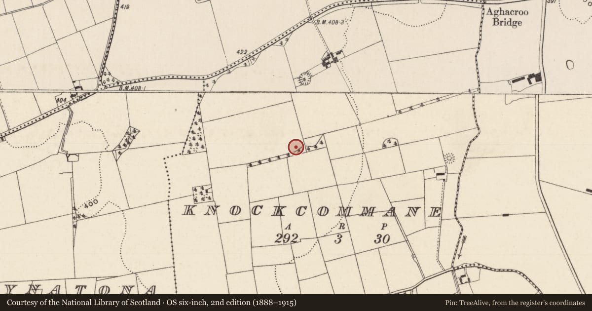 Ordnance Survey six-inch map, 2nd edition (1888–1915) covering the location of Furnace, Knockcommane, County Limerick, with a pin at the register's coordinates