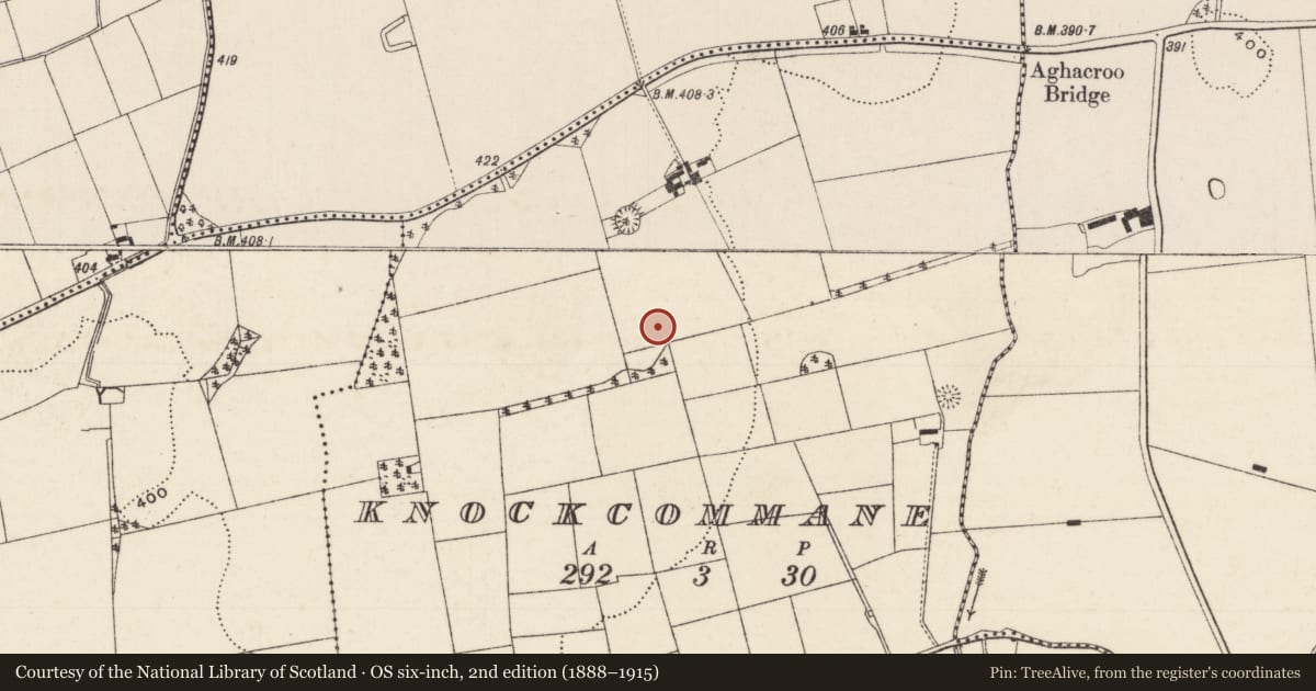 Ordnance Survey six-inch map, 2nd edition (1888–1915) covering the location of Barrow - ring-barrow, Knockcommane, County Limerick, with a pin at the register's coordinates