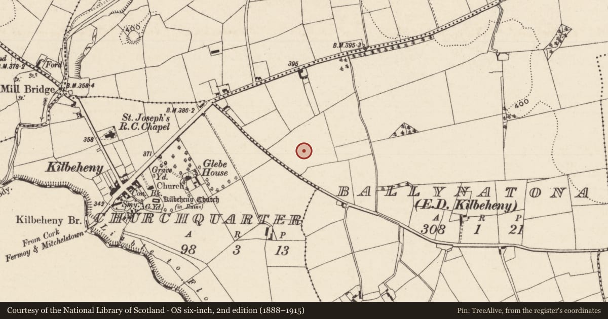 Ordnance Survey six-inch map, 2nd edition (1888–1915) covering the location of Enclosure - large enclosure, Ballynatona, County Limerick, with a pin at the register's coordinates