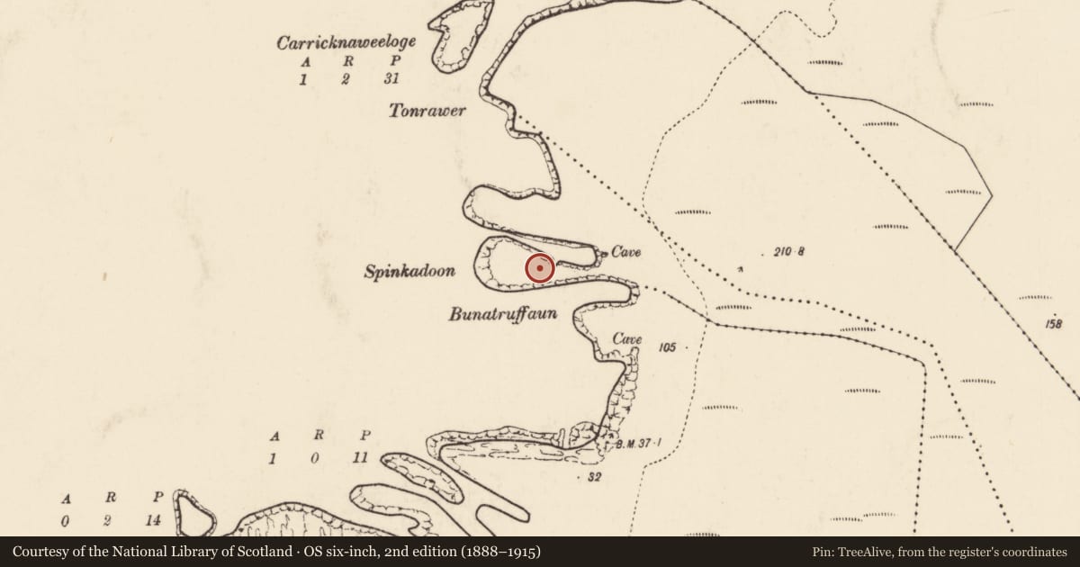 Ordnance Survey six-inch map, 2nd edition (1888–1915) covering the location of Promontory fort - coastal, An Gort Breac, County Mayo, with a pin at the register's coordinates