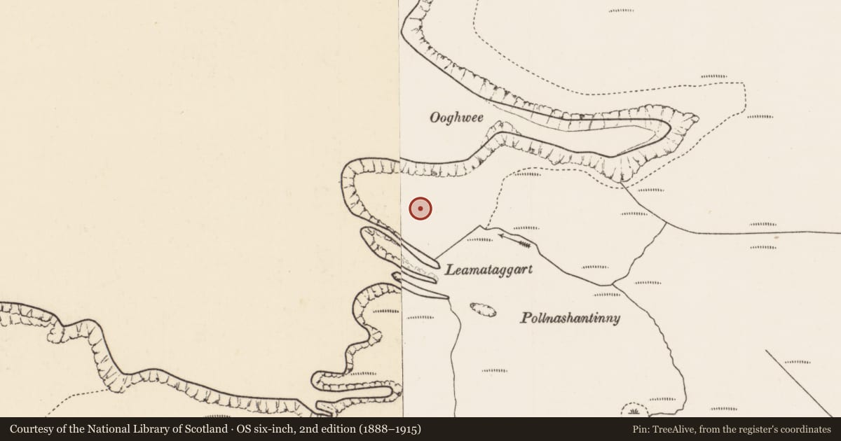 Ordnance Survey six-inch map, 2nd edition (1888–1915) covering the location of Ringfort - cashel, Gleann Lára, County Mayo, with a pin at the register's coordinates
