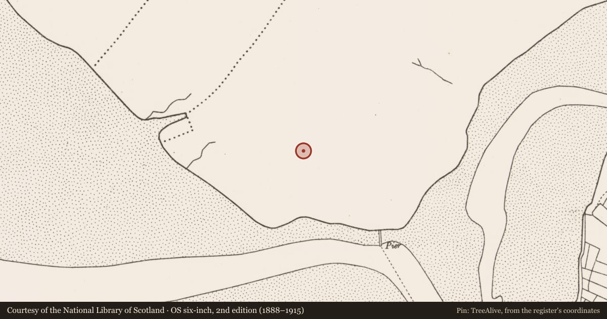 Ordnance Survey six-inch map, 2nd edition (1888–1915) covering the location of Midden, An Corrán Buí, County Mayo, with a pin at the register's coordinates