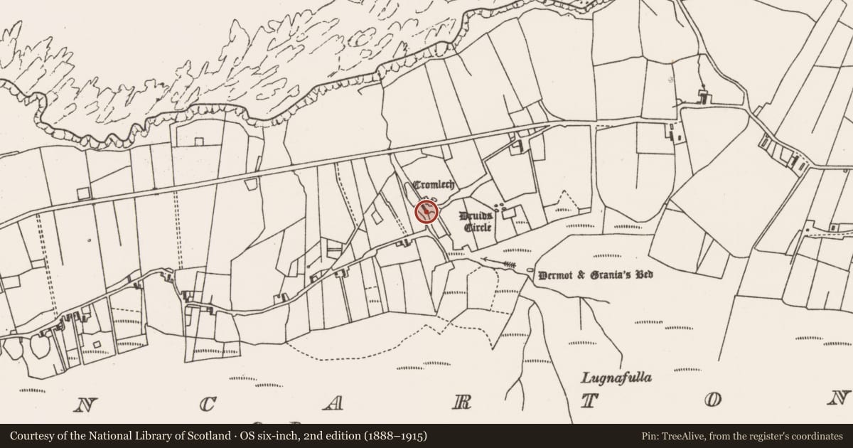 Ordnance Survey six-inch map, 2nd edition (1888–1915) covering the location of Megalithic tomb - court tomb, Dún Ceartáin Nó Gleann An Ghad, County Mayo, with a pin at the register's coordinates