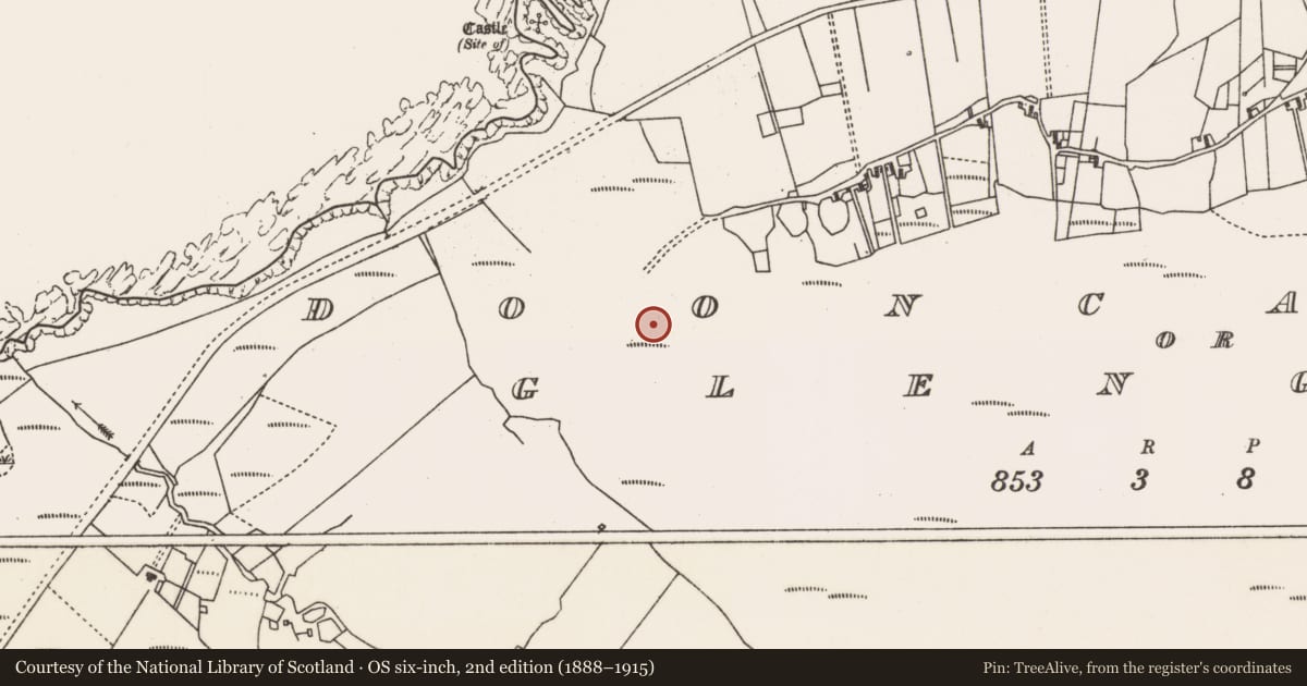 Ordnance Survey six-inch map, 2nd edition (1888–1915) covering the location of Field system, Dún Ceartáin Nó Gleann An Ghad, County Mayo, with a pin at the register's coordinates