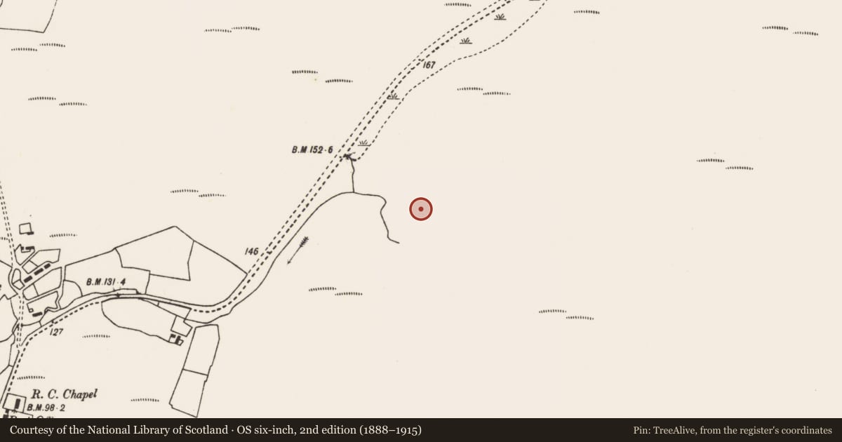 Ordnance Survey six-inch map, 2nd edition (1888–1915) covering the location of Megalithic tomb - court tomb, Béal Deirg Mór, County Mayo, with a pin at the register's coordinates