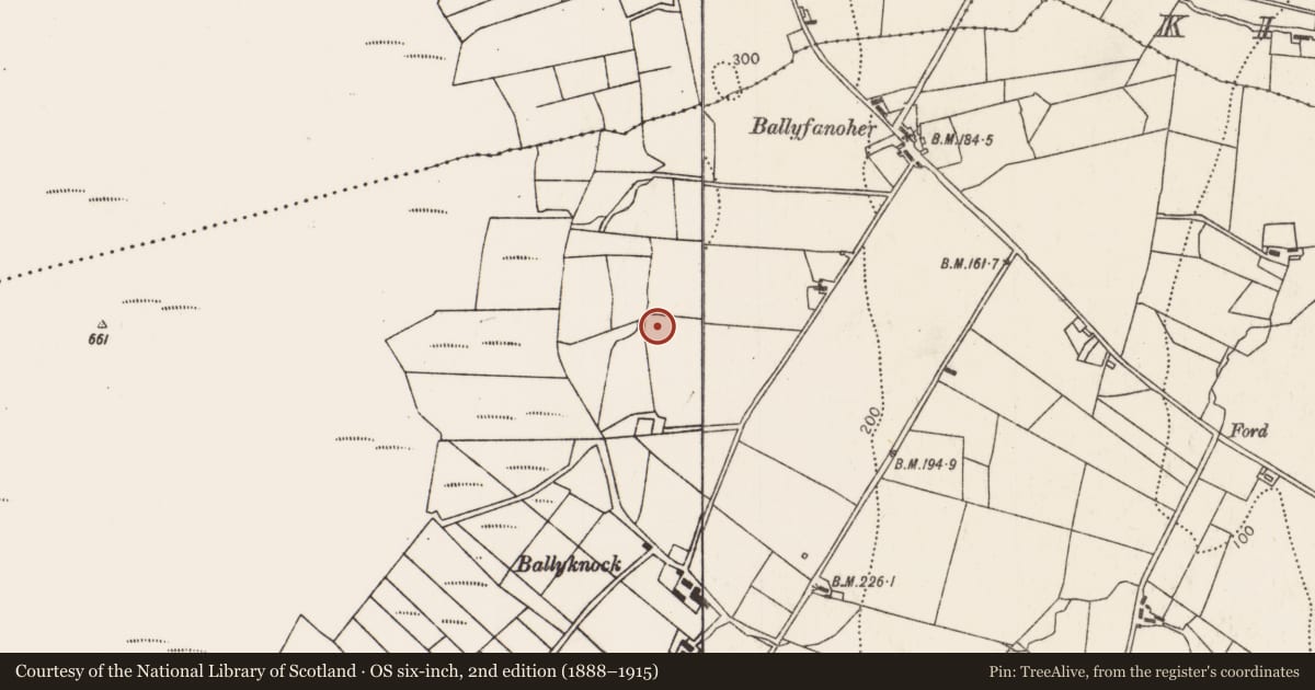 Ordnance Survey six-inch map, 2nd edition (1888–1915) covering the location of Megalithic tomb - portal tomb, Ballyknock (Tirawley By., Doonfeeny Par.), County Mayo, with a pin at the register's coordinates