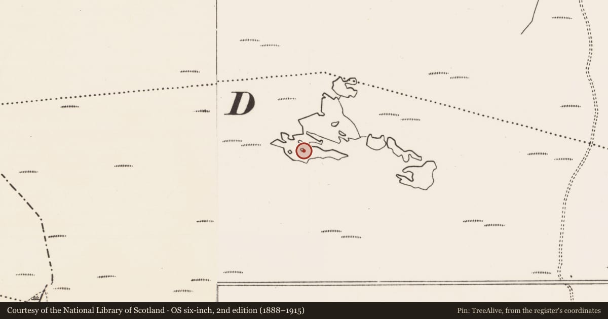 Ordnance Survey six-inch map, 2nd edition (1888–1915) covering the location of Crannog, Ráth Aibhistín, County Mayo, with a pin at the register's coordinates