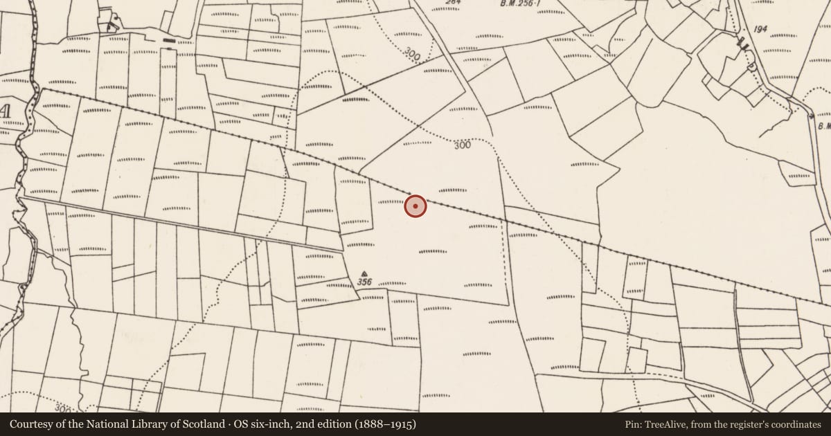 Ordnance Survey six-inch map, 2nd edition (1888–1915) covering the location of Field system, Creevagh, Rathlackan, County Mayo, with a pin at the register's coordinates