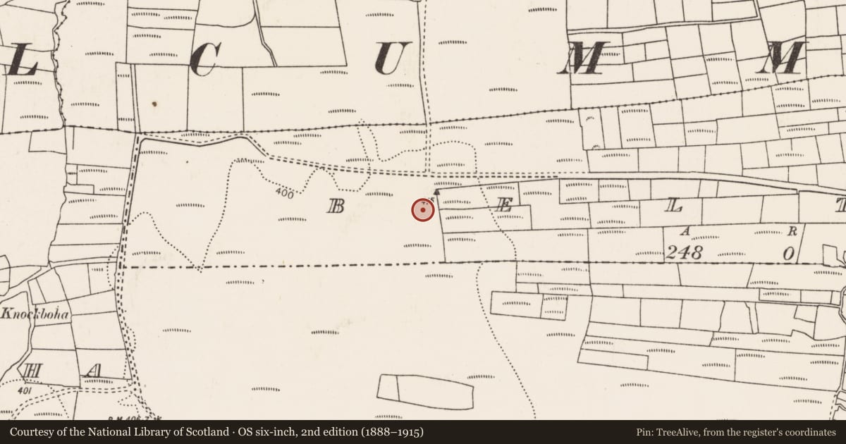 Ordnance Survey six-inch map, 2nd edition (1888–1915) covering the location of Field system, County Mayo, with a pin at the register's coordinates