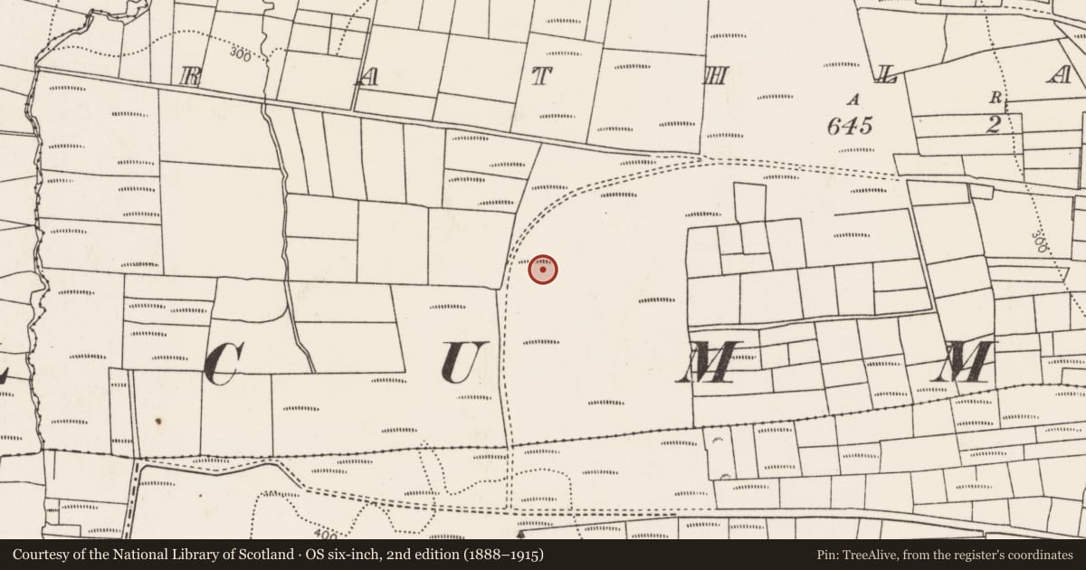 Ordnance Survey six-inch map, 2nd edition (1888–1915) covering the location of Enclosure, Rathlackan, County Mayo, with a pin at the register's coordinates