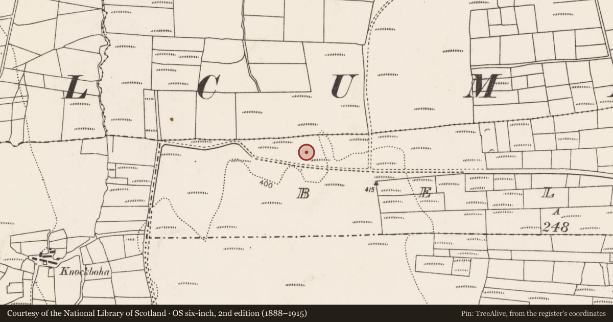 Ordnance Survey six-inch map, 2nd edition (1888–1915) covering the location of Megalithic structure, Beltra (Tirawley By., Lackan Par.), County Mayo, with a pin at the register's coordinates