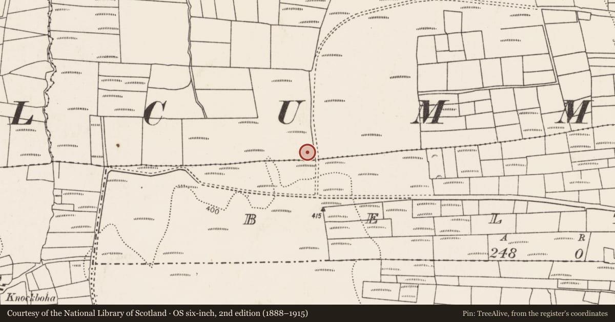 Ordnance Survey six-inch map, 2nd edition (1888–1915) covering the location of Megalithic tomb - court tomb, Rathlackan, County Mayo, with a pin at the register's coordinates